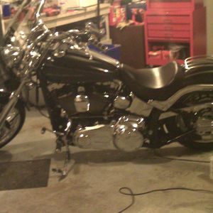 Meet your Posher, Janet